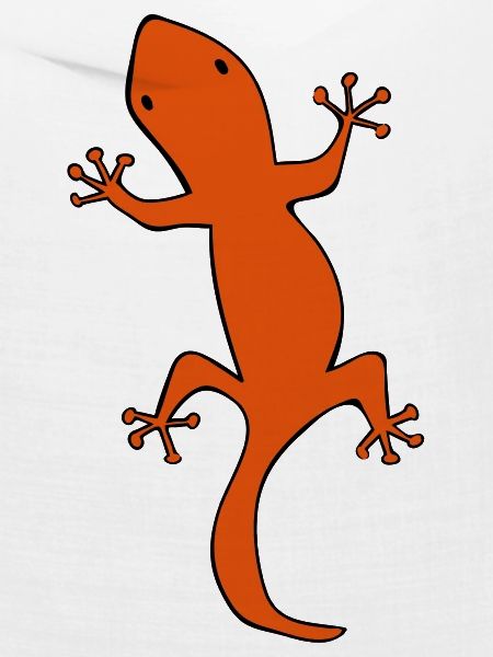 salamander