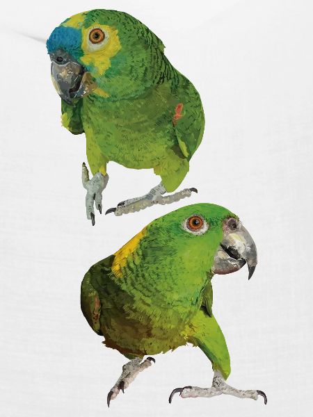 Amazonas