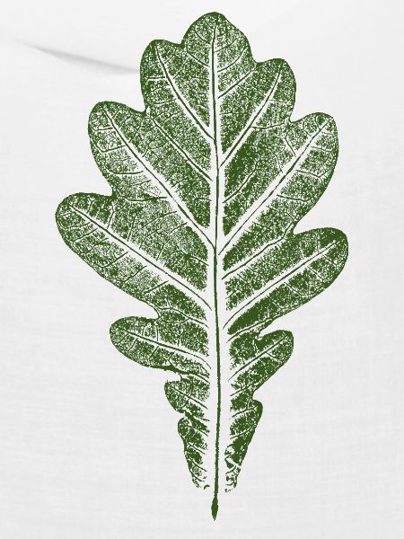 Blatt Eiche - Eichenblatt / Natur & Wald Design