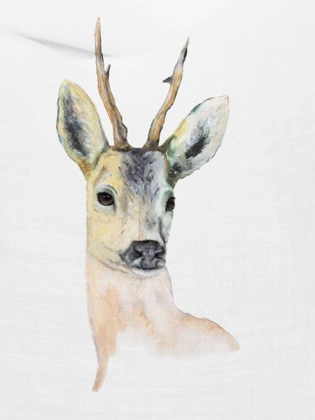 Deer 1.0