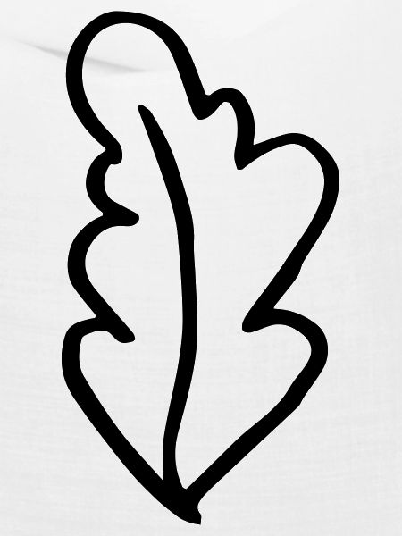 Blatt Eichenblatt