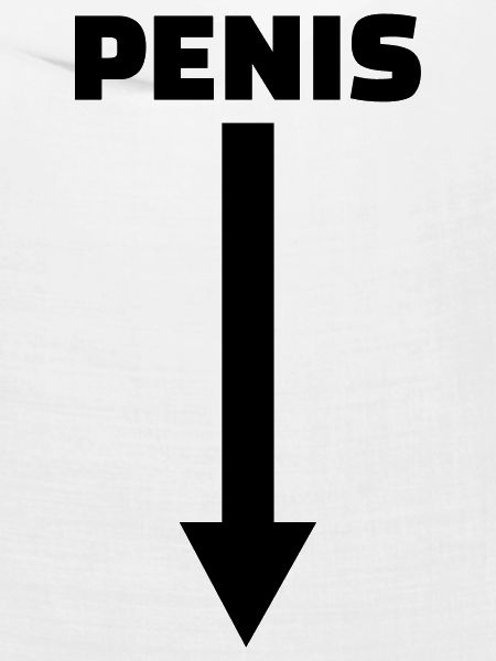 Penis