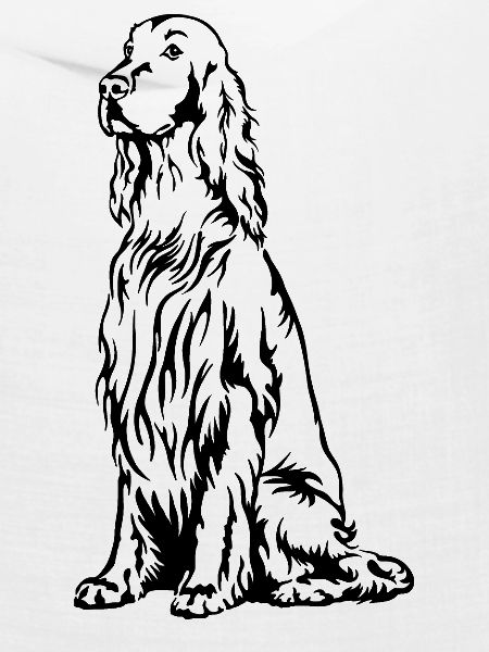 Irish Setter