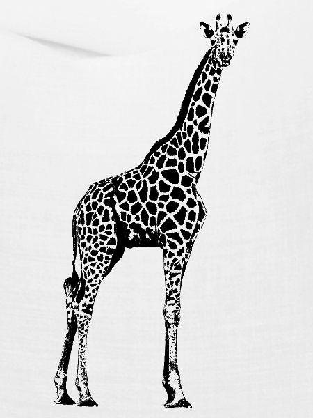 Giraffe Grafik