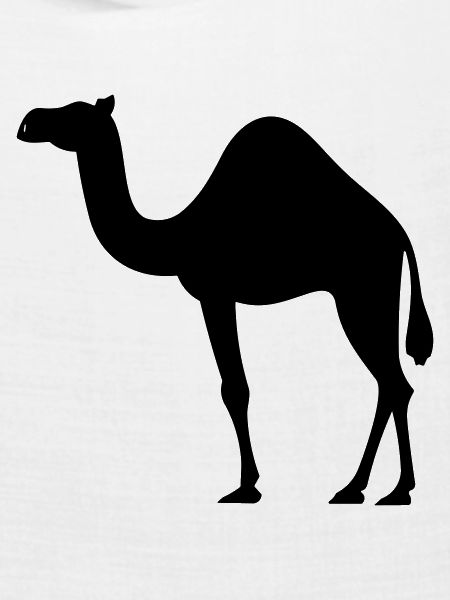 Kamel
