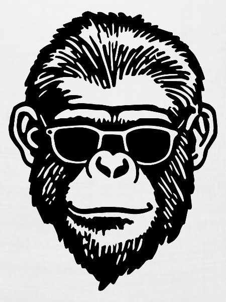 Affe Affen Affengesicht