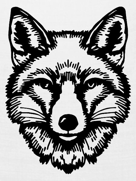 Fuchs Füchse