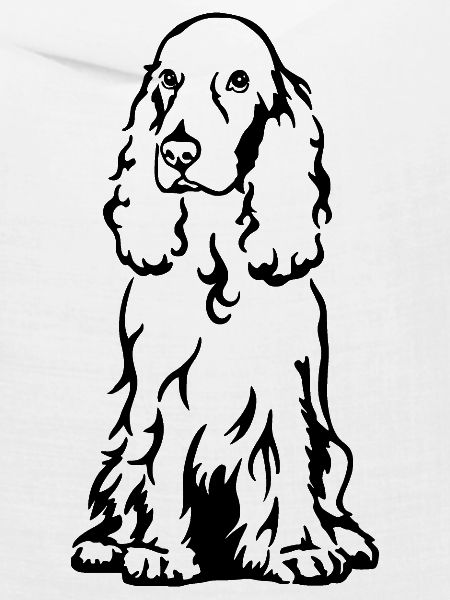 Cocker Spaniel