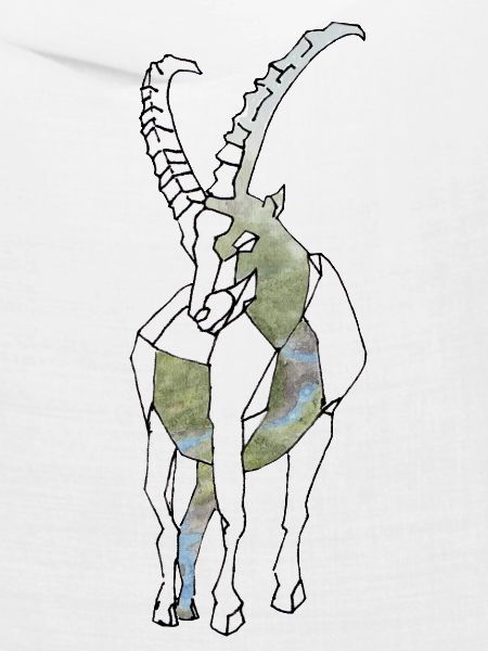 Polygon Capricorn