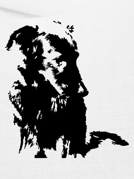 Hund Mischling