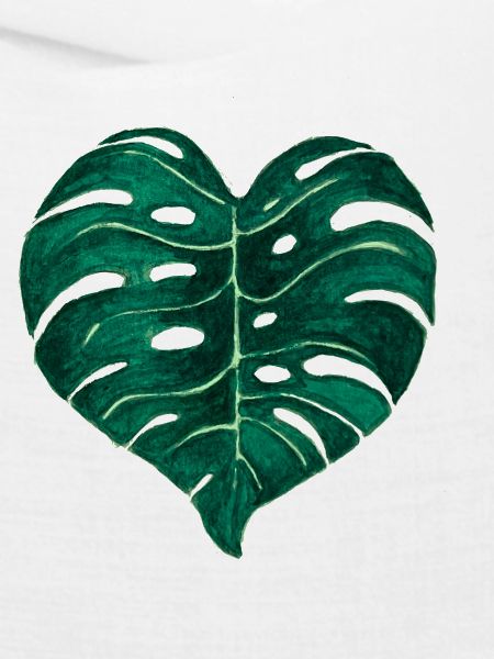 Monstera Deliciosa Blatt