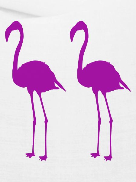 flamingos