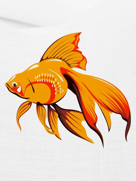 fish439