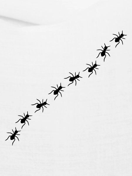 Ants