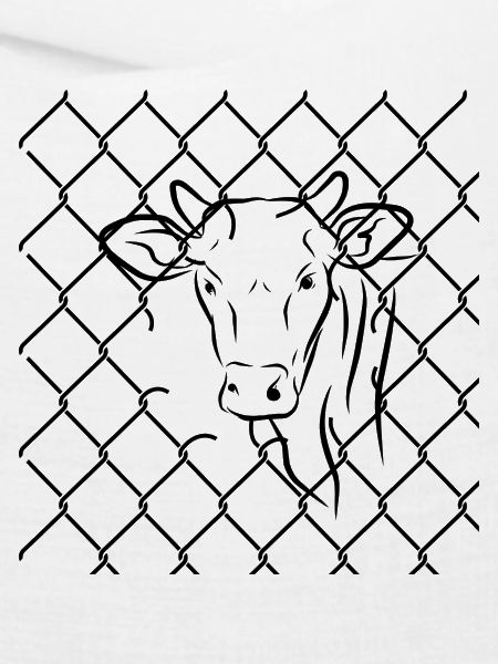 Animal Rights
