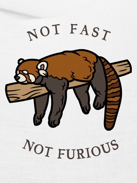 Not Fast Not Furious