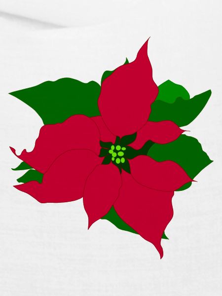 Weihnachtsstern