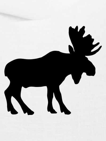 moose animal