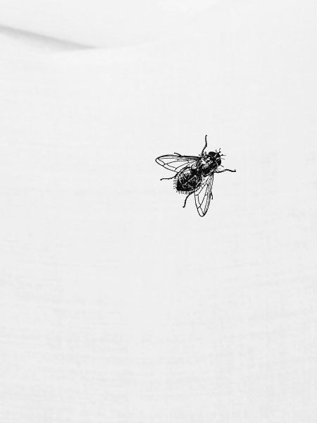 fliege