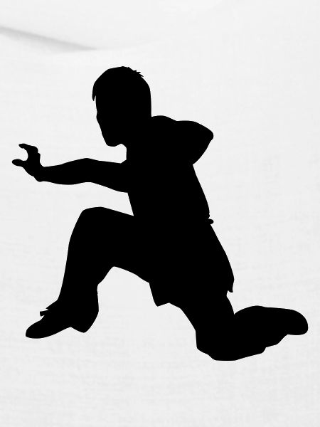 kung fu