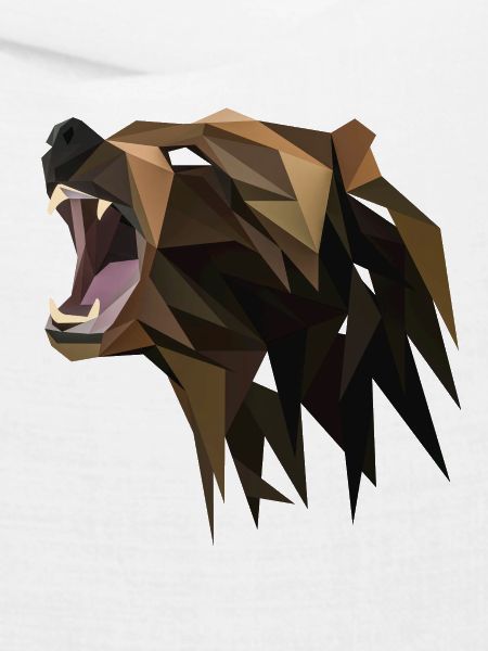 Polygon Bär