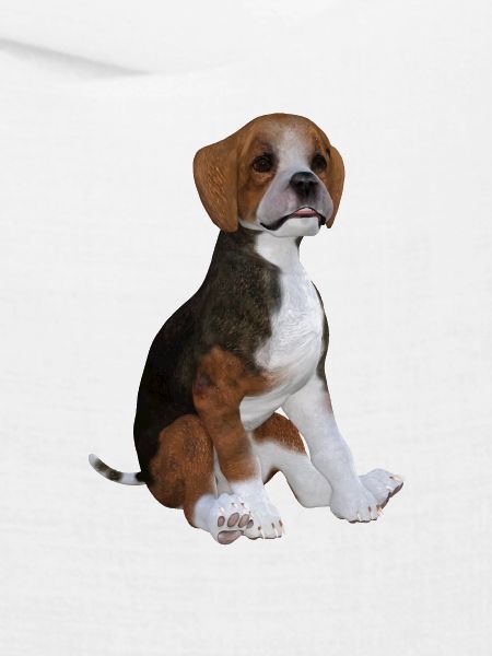 Beagle Welpe