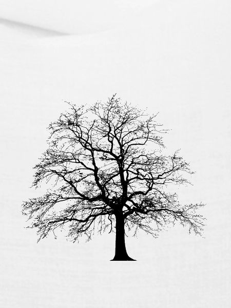 Baum Linde