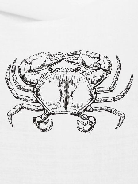 Krabbe