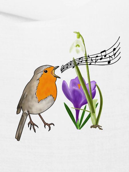 Frühling, Rotkehlchen, Gesang
