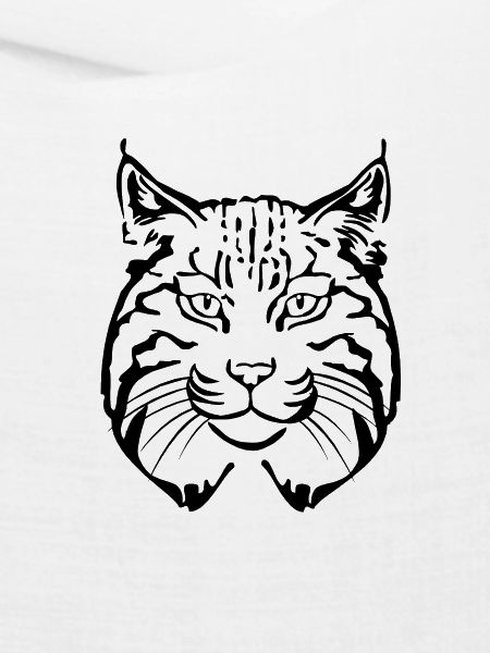Luchs Kopf