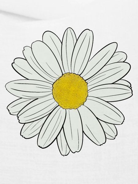 Gänseblümchen