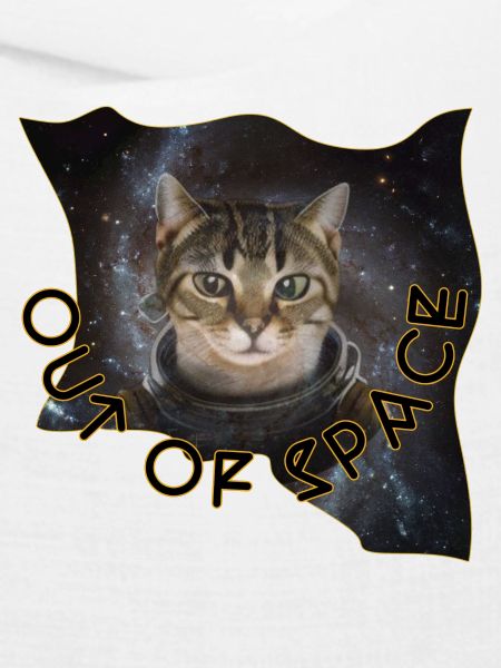Space cat 4