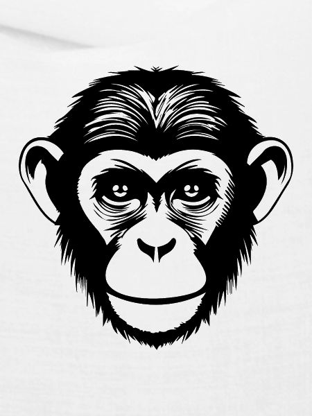 Affe Affen Affengesicht Dschungel