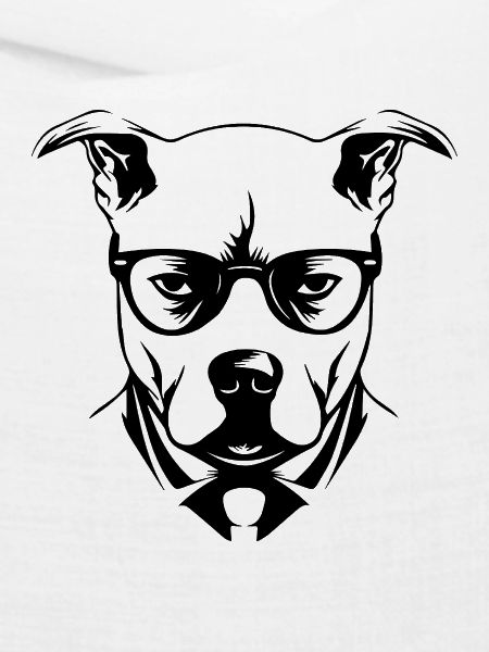 Pitbull
