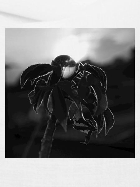 Der Marmor