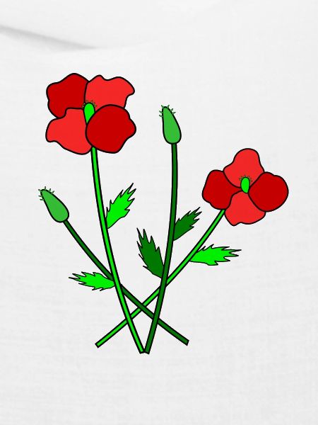 Blühender Mohn