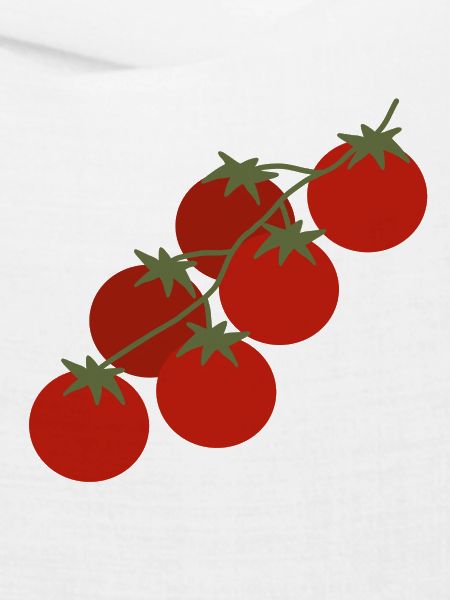 Kirschtomaten-Rebe