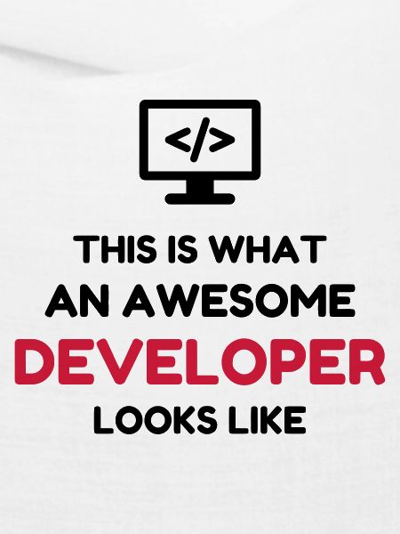 Entwickler / Informatiker / Programmierer /