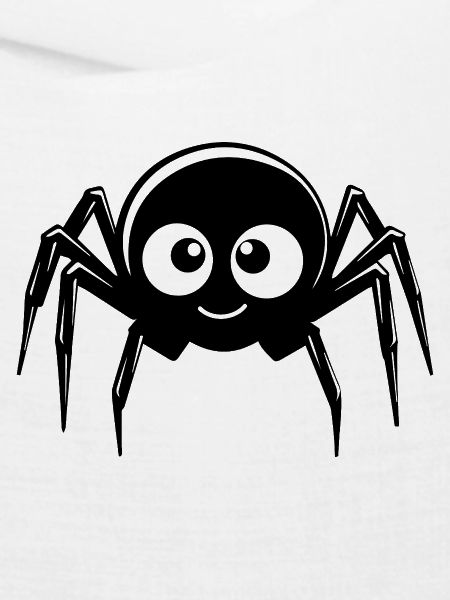 Spinne Spinnen Tiere