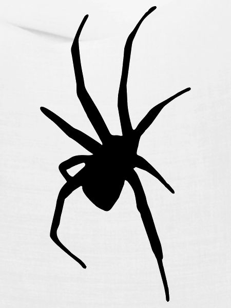 Spinne
