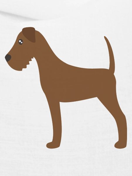 irish terrier