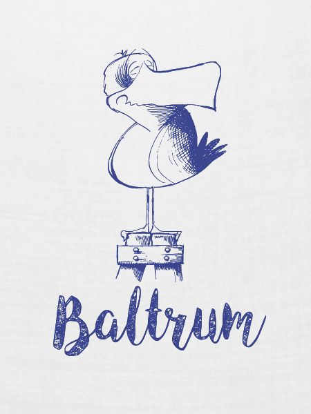 Baltrum Moewe