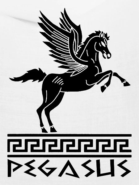Pferd Schwarz Pegasus