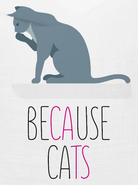 Weil Cats