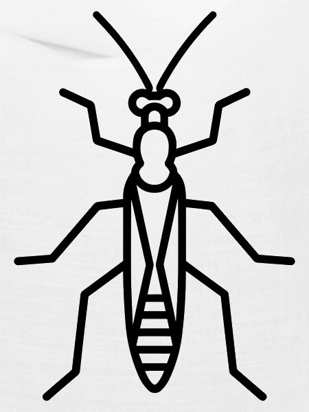 Stick-Insekt
