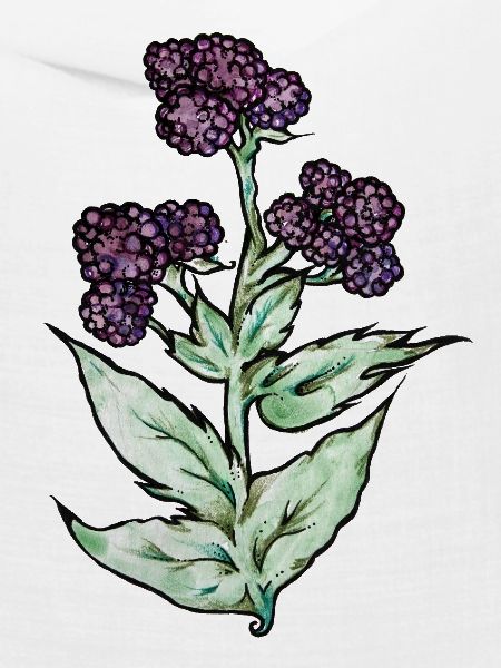 Purple Bloom Botanicals