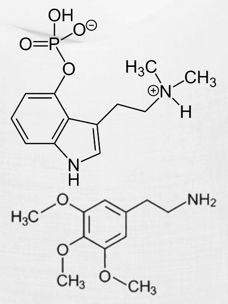 Psilocybin- und Meskalinmoleküle