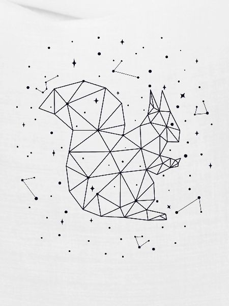 Sternbild Squirrel Constellation Squirrel