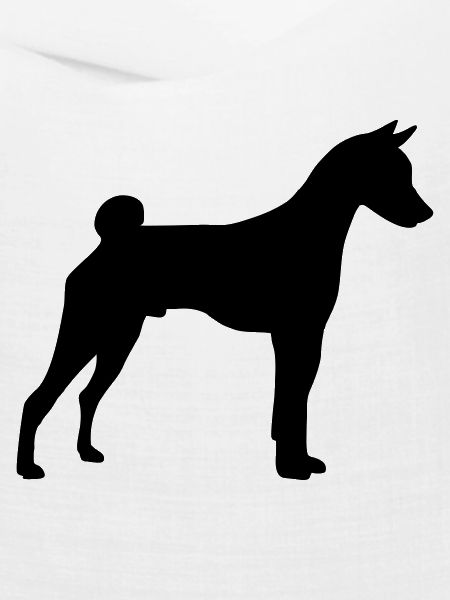 Basenji
