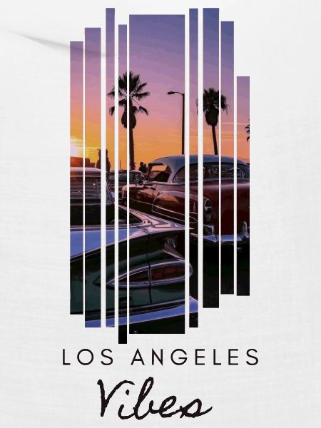 LA Vibes Venice Beach